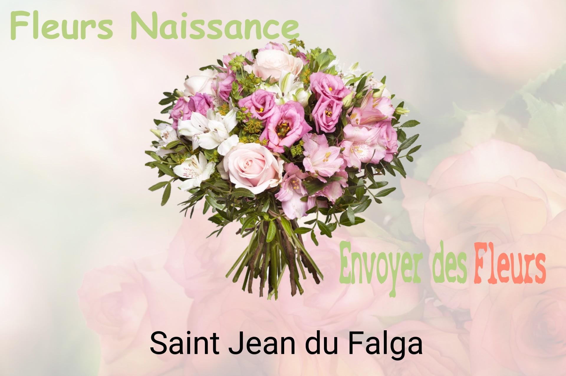 Bouquet de fleurs de naissance livré à Saint-Jean-du-Falga